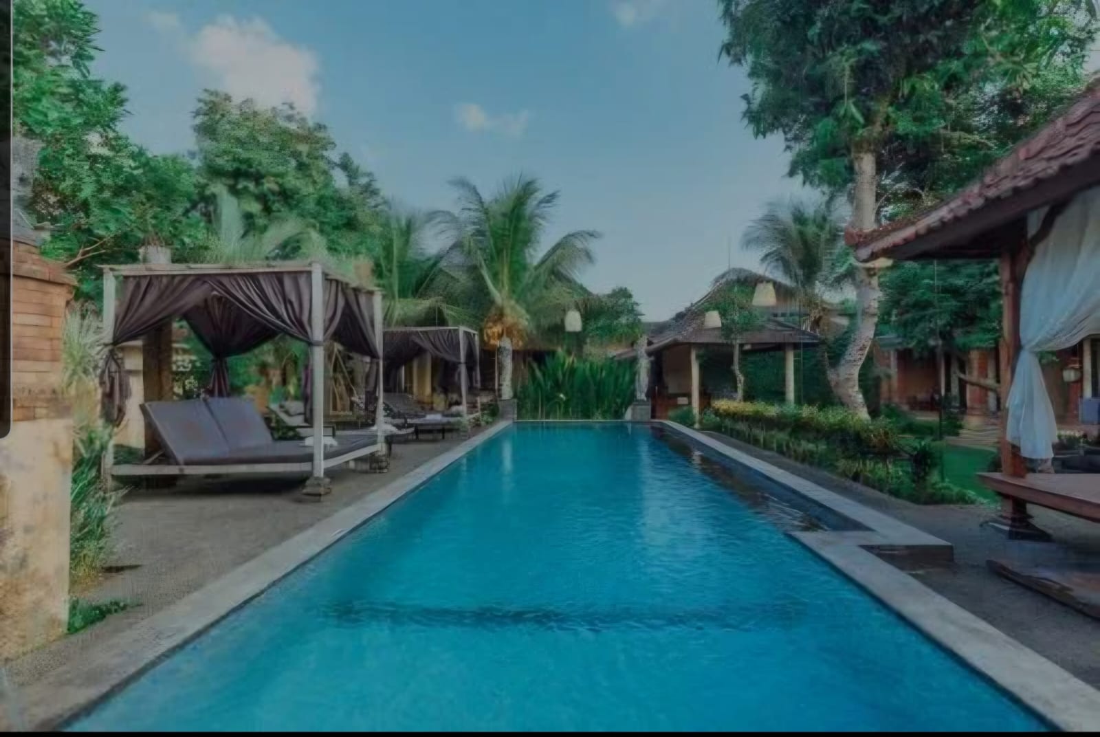 The long pool at Pondok Kutuh Guest House flanked by day beds and gardens