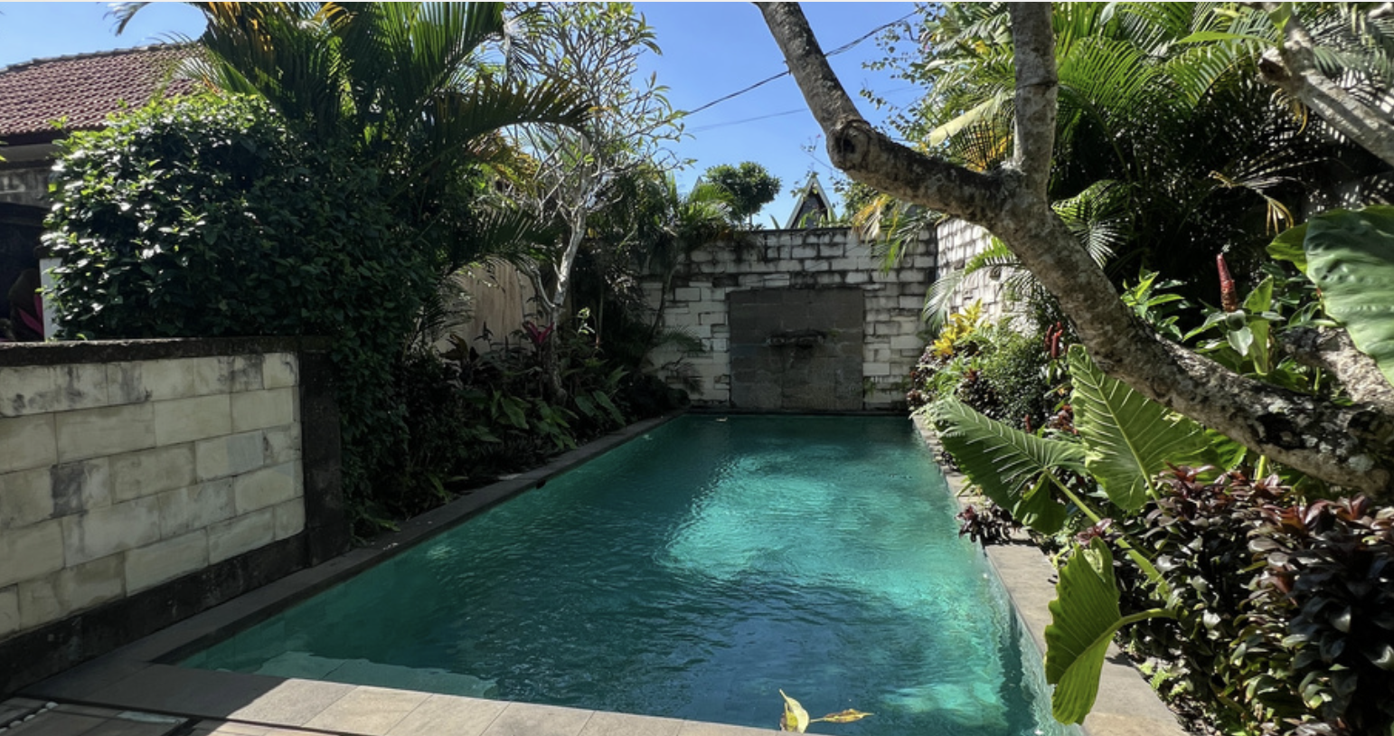 Private cottage pool surrounded by greenery