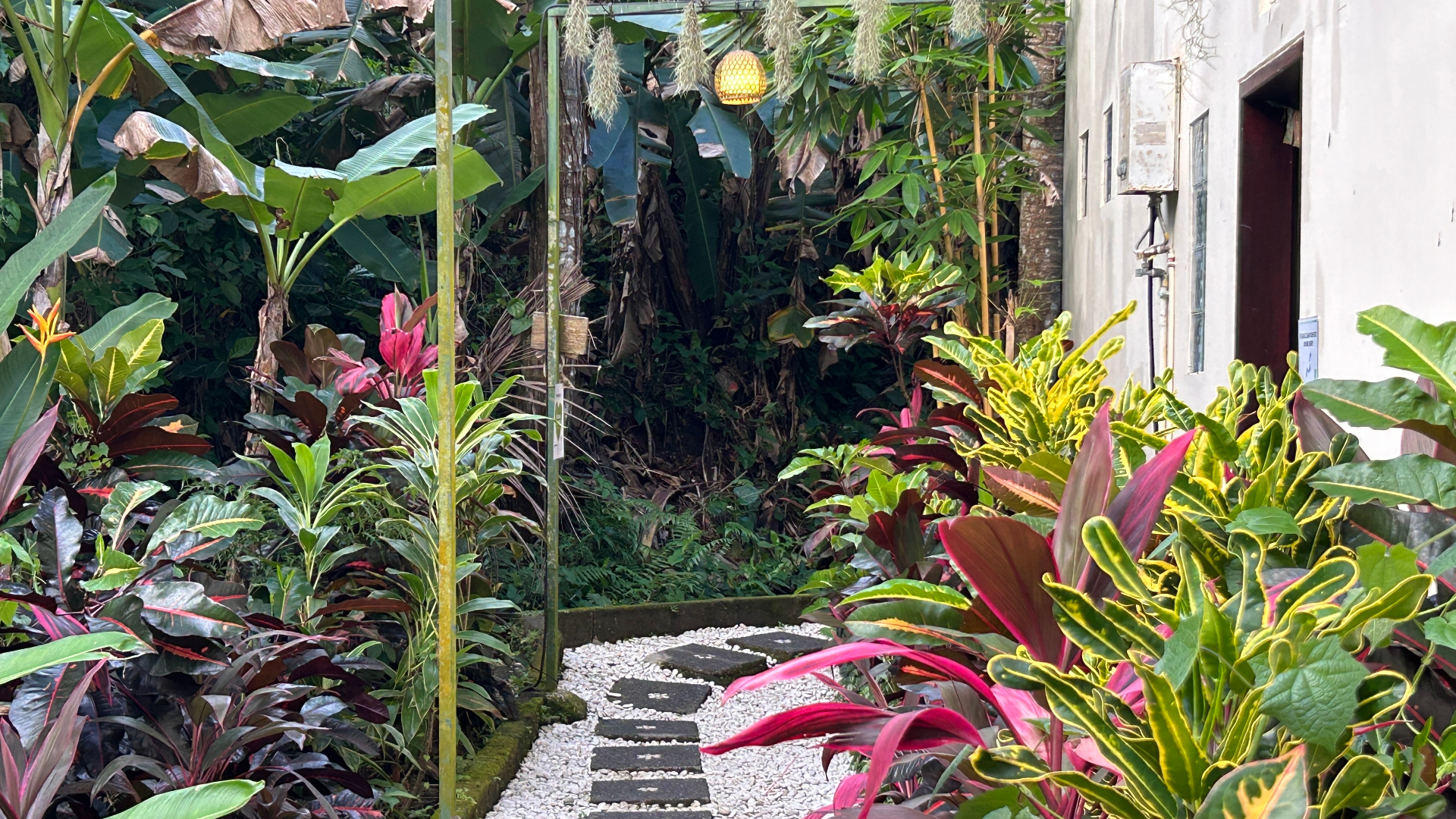 A lush garden walkway through tropical foliage at Samyama